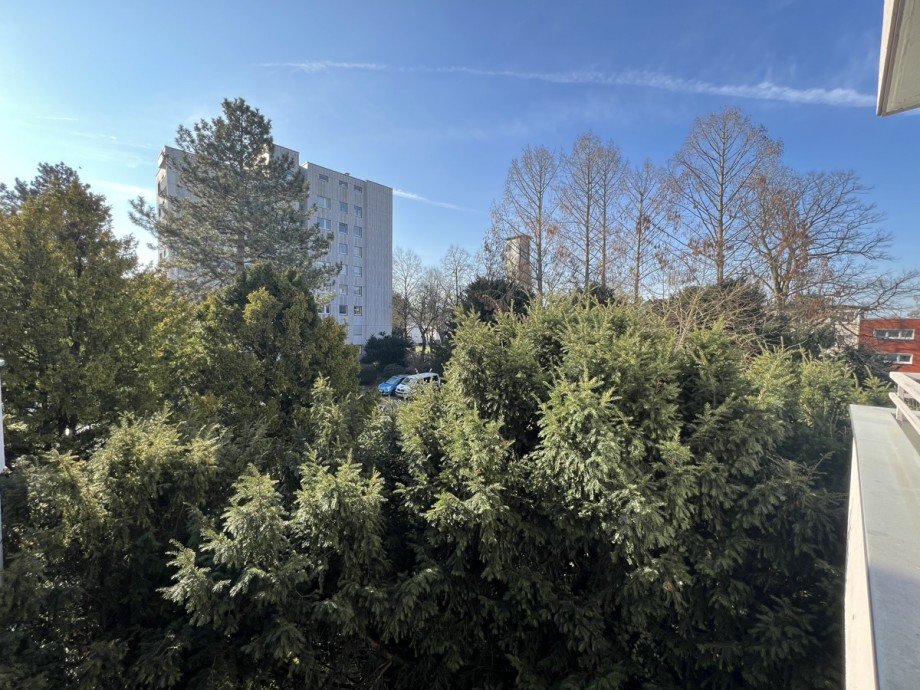Ausblick Etagenwohnung Frankfurt am Main / Oberrad