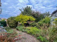 Garten Lichtdurchflutete 3-Zimmer-Wohnung mit Wintergarten, Garten und Terrasse in ruhiger Lage