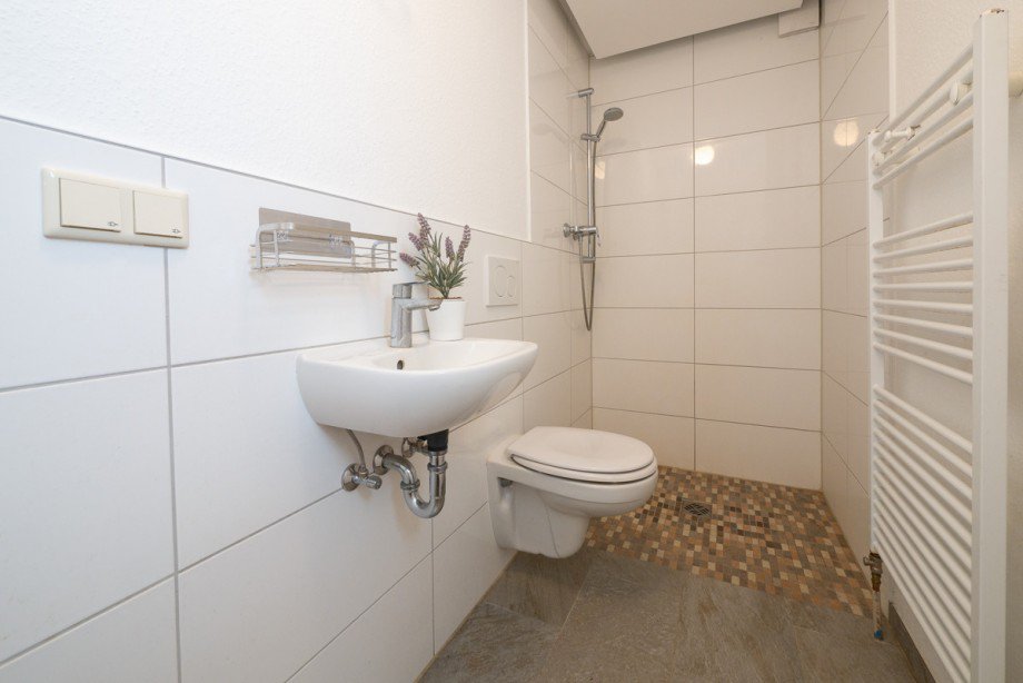 Tageslichtduschbad Einfamilienhaus Offenbach am Main