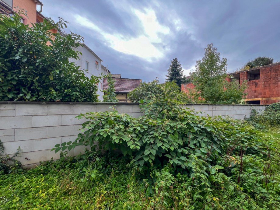 Garten Einfamilienhaus Offenbach / Bieber